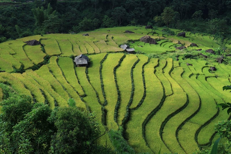 Cultural Immersion Tour